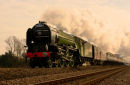 Tornado Inaugural Run